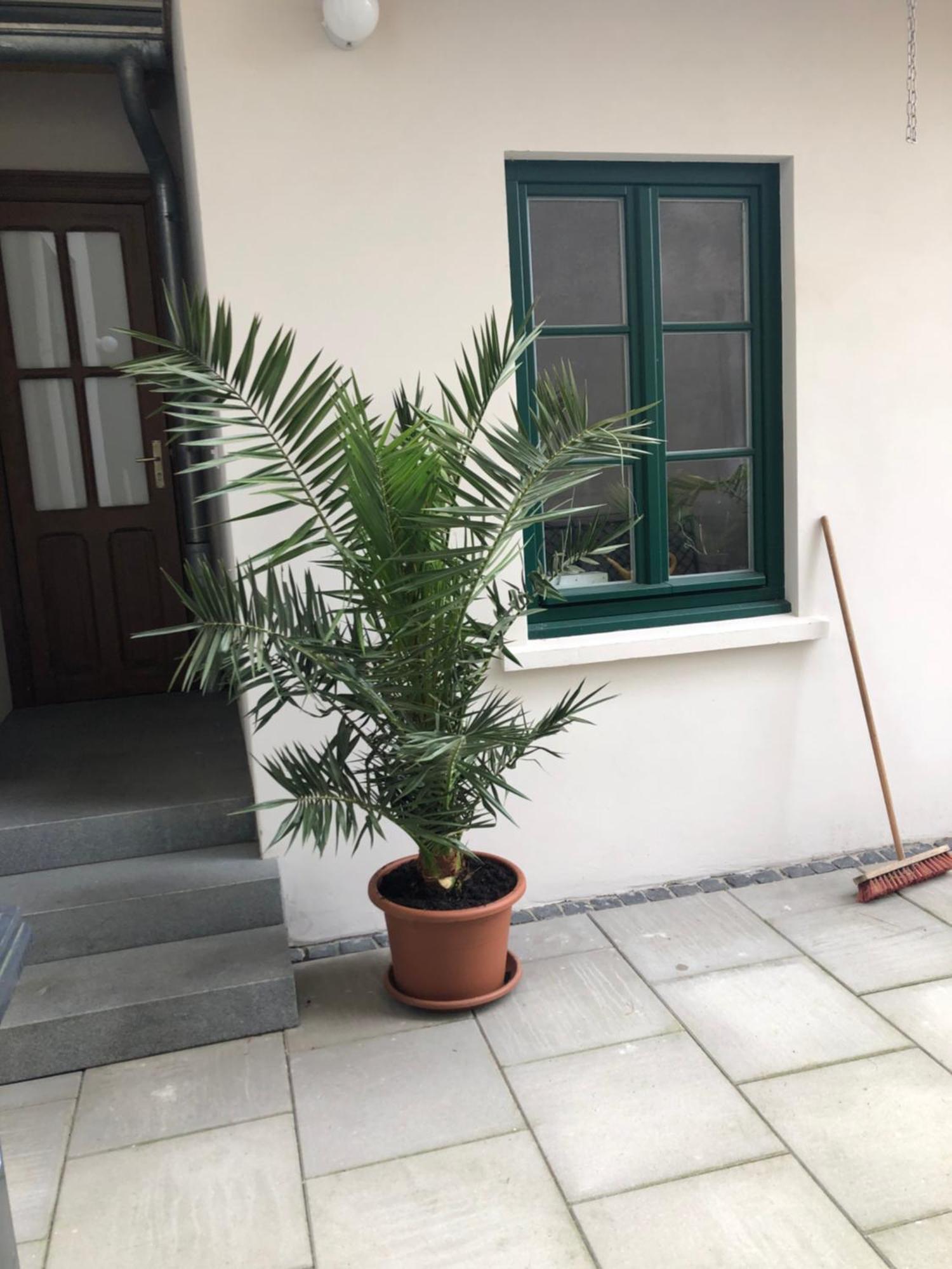 Kleines Gaestehaus Im Gruenen Apartment